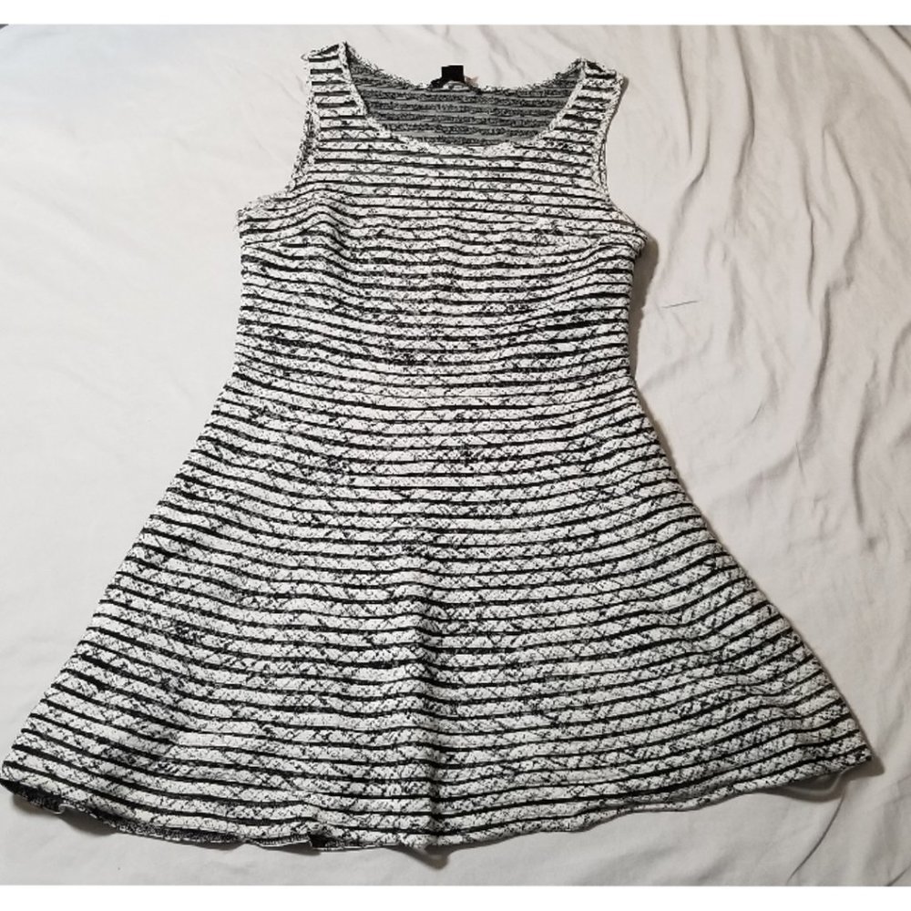 Women's Black & White Striped Lace Fit-and-Flare Dress